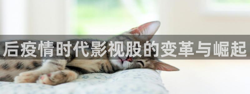 97神马影院伦理片